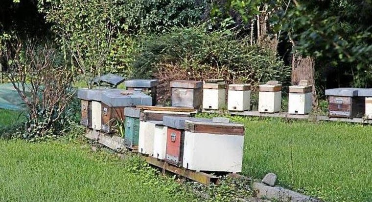 Giardino Botanico Trebbo Trebbi, Italy